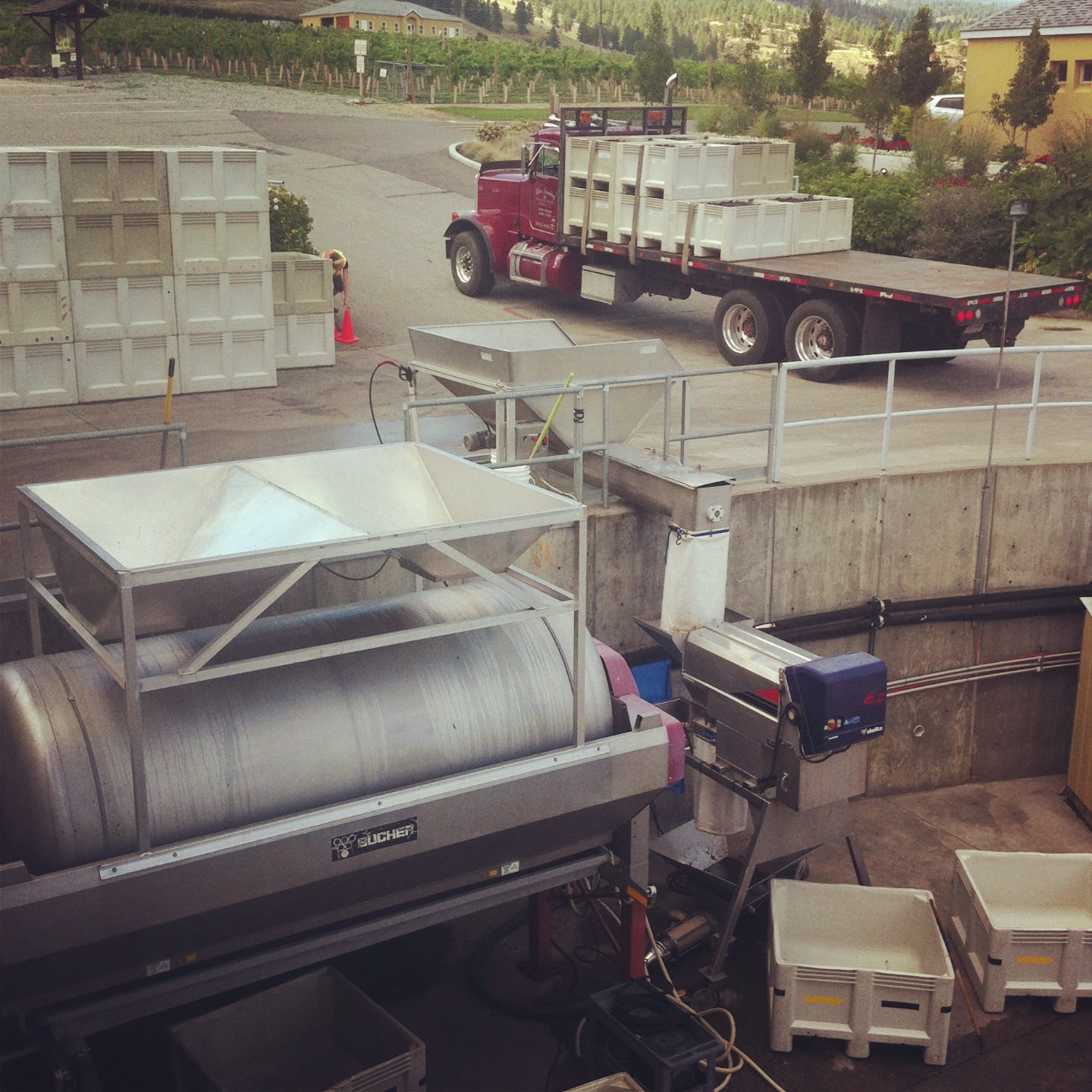 Last load of Pinot Gris for the day.